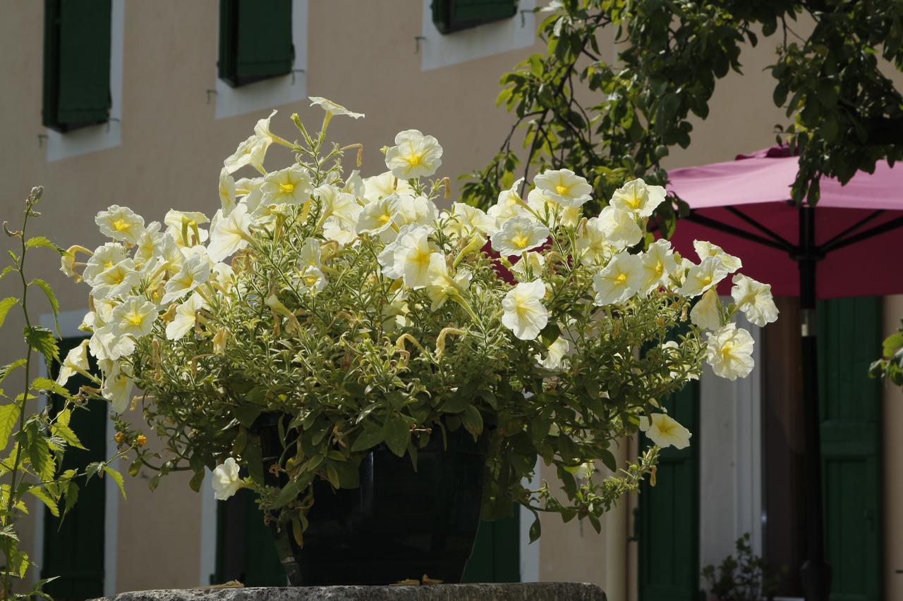 Hotel Carmel Les Vans Exterior photo